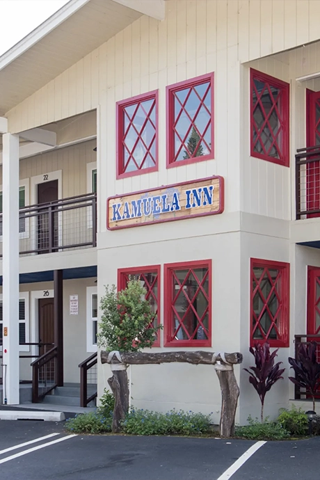 Complete Painting Process Focused On Clean Work Strong Finishes And Reliability copy 1